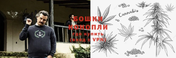 бошки Белокуриха
