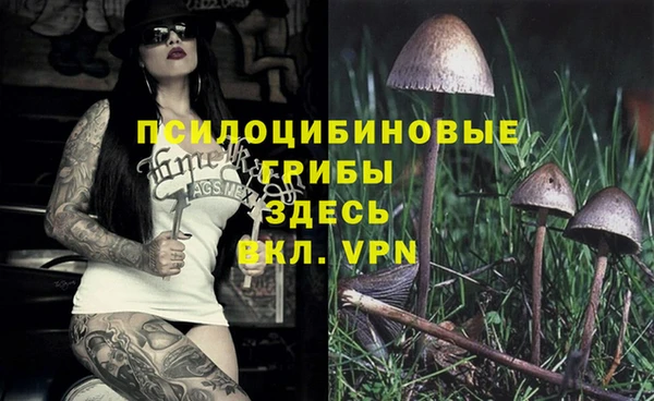 МДМА Снежинск