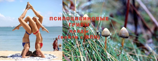 прущая мука Богородицк