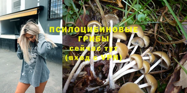 экстази Богородск