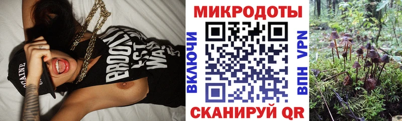 Псилоцибиновые грибы прущие грибы что такое Горняк
